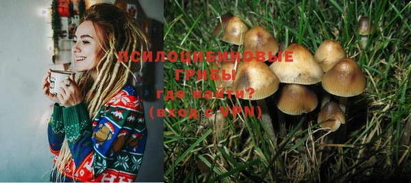 экстази Алексин